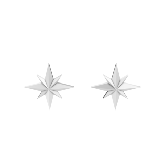 Star Stud Earrings